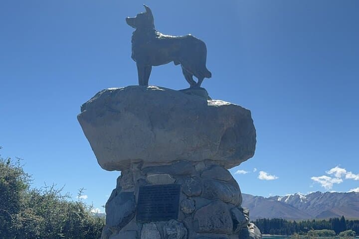 Private Mt Cook Day Trip from Queenstown via Lake Tekapo photo 2