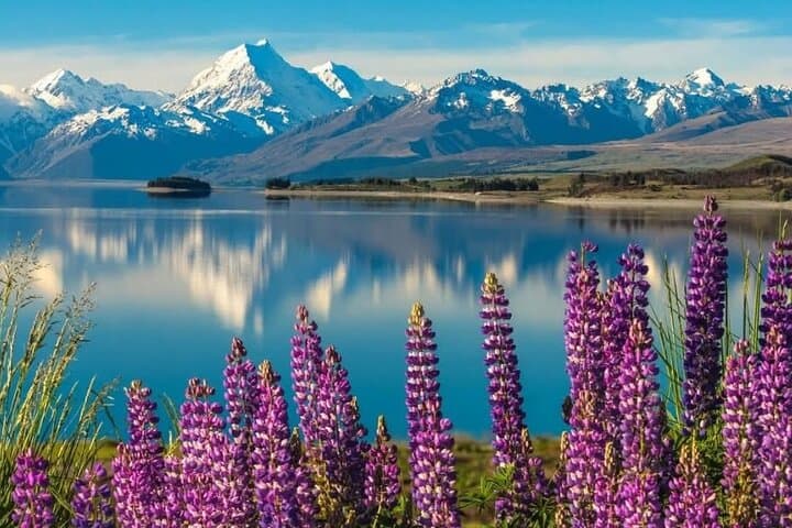 Private Mt Cook Day Trip from Queenstown via Lake Tekapo photo 3