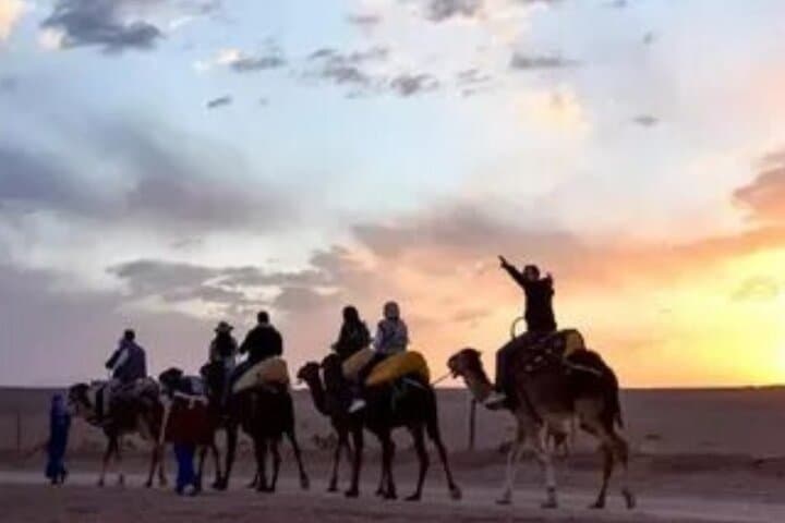 Marrakech to Zagora: 2-Day Desert Tour, Camel Trek & Aït Ben Haddou photo 4