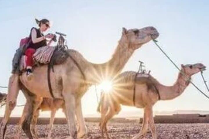 Marrakech to Zagora: 2-Day Desert Tour, Camel Trek & Aït Ben Haddou photo 5