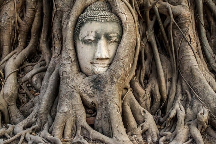 Private Ayutthaya Day Tour — Explore 4 Ancient Temples from Bangkok photo 5