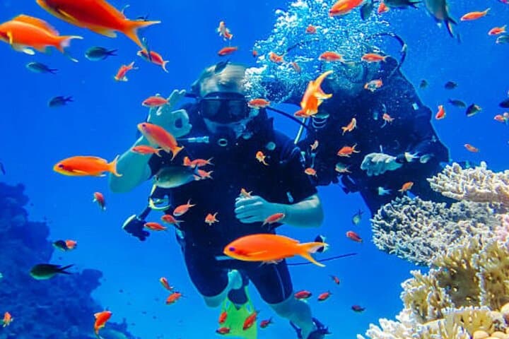 Intro Scuba Diving in Hurghada: 2 Short Dives with Lunch on the Red Sea photo 4