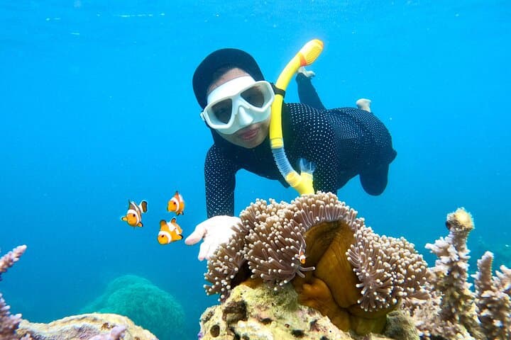 Phi Phi Islands Speedboat Tour with Snorkeling & Buffet Lunch from Ao Nang photo 5