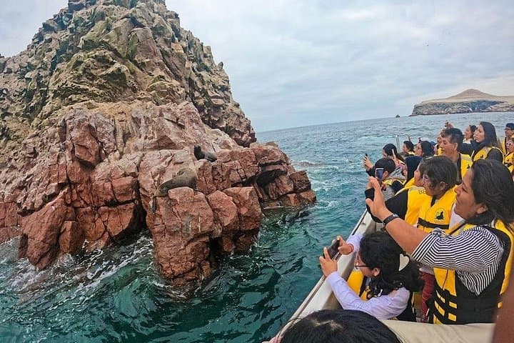Full-Day Paracas and Huacachina: Ballestas Boat Tour, Dune Buggies & Sandboarding from Lima photo 3