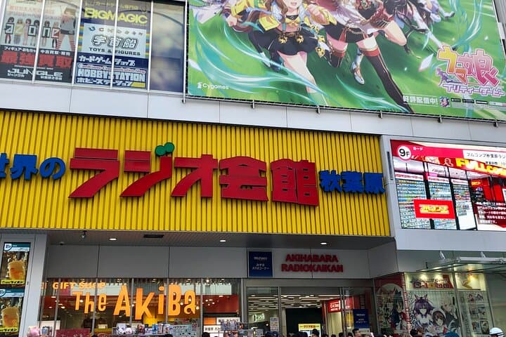 Akihabara Private Walking Tour: Customize Your Anime, Arcade & Maid Cafe Experience