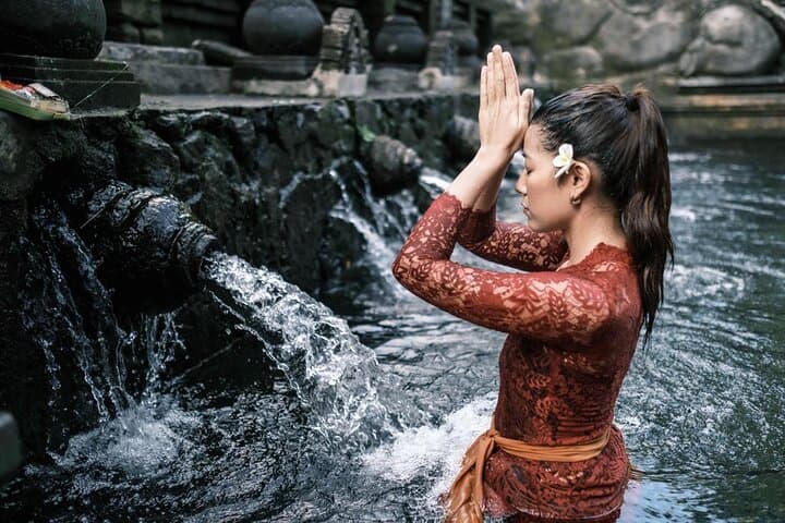 Ubud Day Tour: Monkey Forest, Tirta Empul & Tegalalang Rice Terraces — Waterfalls, Temples & Culture