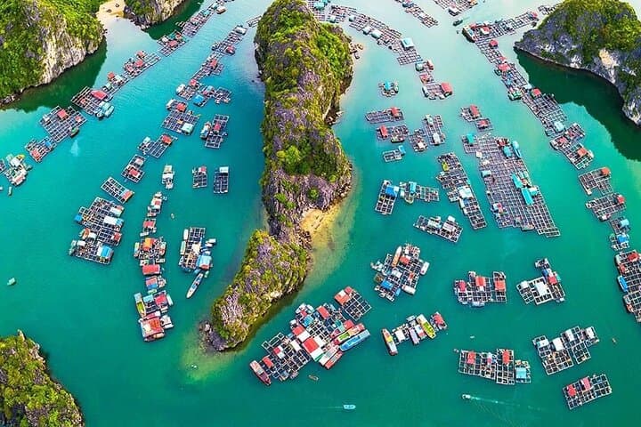 Paddle Lan Ha Bay: 2-Hour Private Canoe from Ha Long photo 6