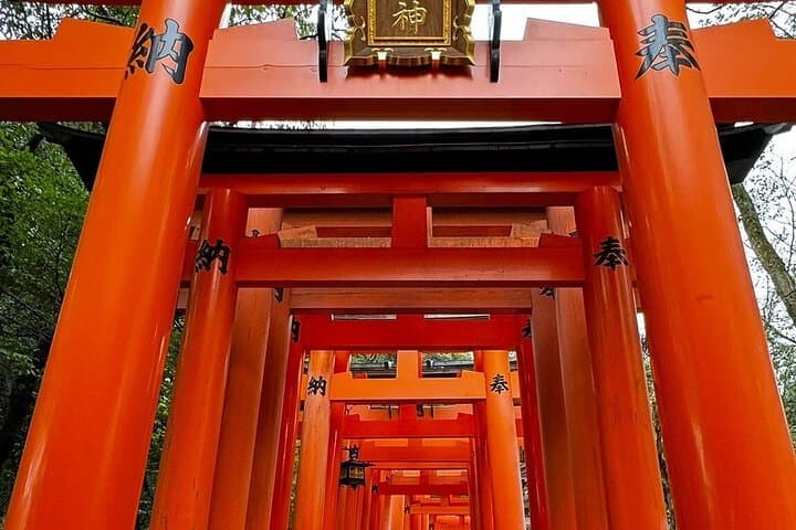 Private Kyoto, Nara, Osaka & Kobe Multi-Day Adventures: Custom Day Trips and Transfers photo 3