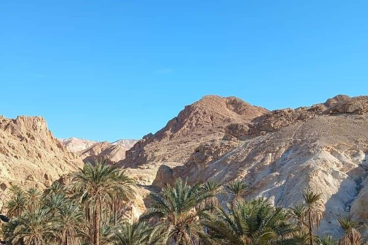 Two-Day Djerba to Tozeur Desert Safari — Chott El Jerid, Douz & Matmata