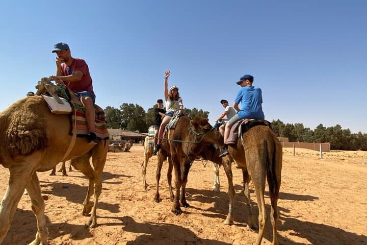 Two-Day Djerba to Tozeur Desert Safari — Chott El Jerid, Douz & Matmata photo 3