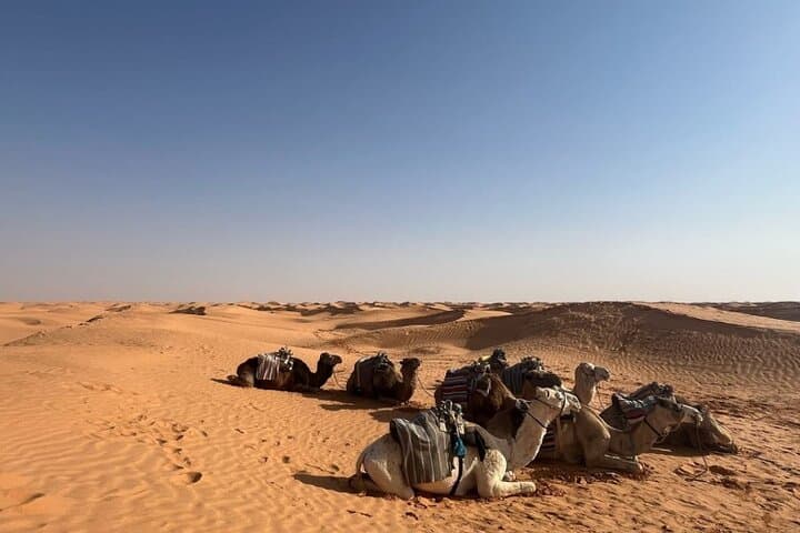 Two-Day Djerba to Tozeur Desert Safari — Chott El Jerid, Douz & Matmata photo 4