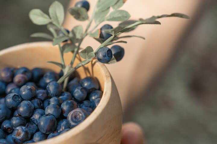 Lapland Cooking Workshop in Rovaniemi: Hands-On Arctic Cuisine & Local Ingredients photo 4