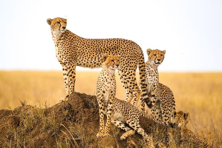 12-Day Namibia Self-Drive Lodge Tour — Etosha, Sossusvlei & Fish River Canyon