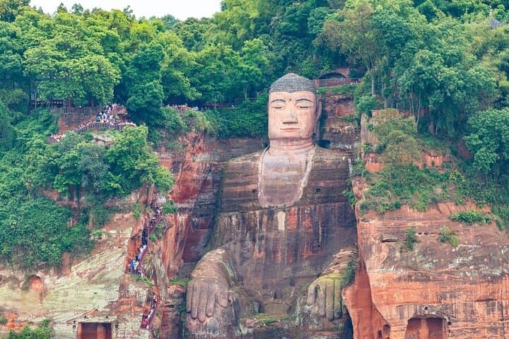 Chengdu Panda Base & Leshan Giant Buddha: Private One-Day Wildlife and Cultural Tour photo 3