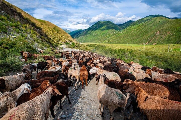 4-Day Issyk-Kul & Chon Kemin Horseback and Yurt Adventure photo 3