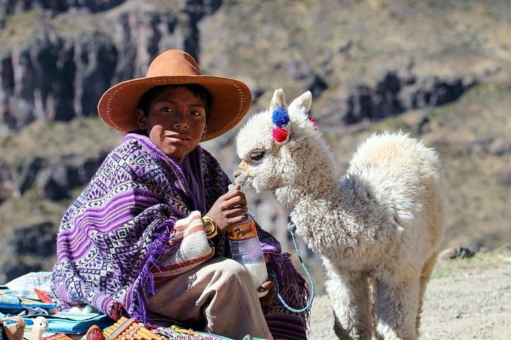 Full-Day Colca Canyon Tour: Condors, Hot Springs & Patapampa Panorama photo 1