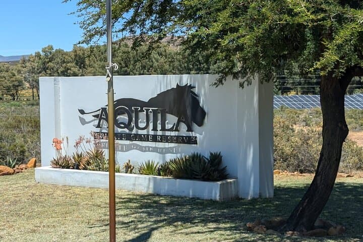 Full-Day Big 5 Safari at Aquila Game Reserve — Day Trip from Cape Town photo 3