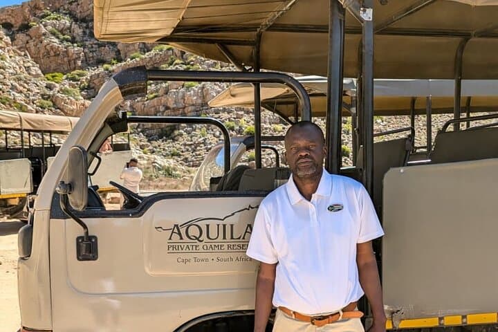 Full-Day Big 5 Safari at Aquila Game Reserve — Day Trip from Cape Town photo 4