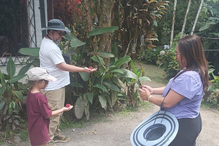 Private Transfer to Mindo: Day Trip from Quito to the Cloud Forest photo 4