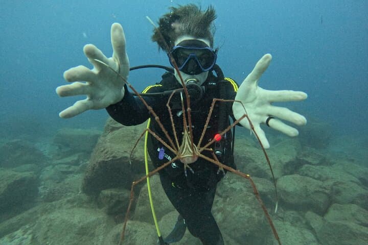 Discover Scuba Diving with Atlantic Turtles in Tenerife photo 4