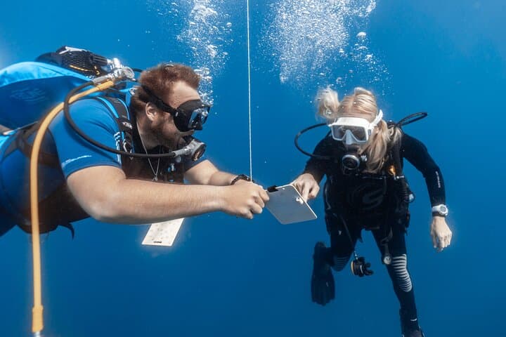Discover Scuba Diving with Atlantic Turtles in Tenerife photo 2