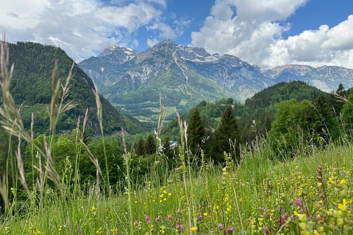 Do-Re-Mi Alpine Tour from Salzburg to the Bavarian Alps and Picnic Meadow photo 2