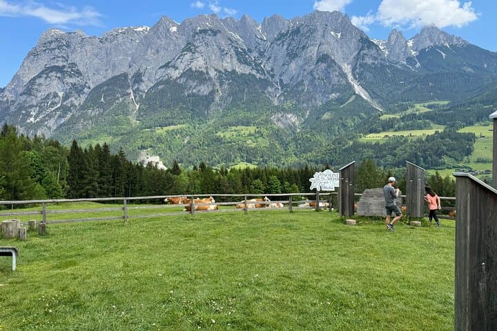 Do-Re-Mi Alpine Tour from Salzburg to the Bavarian Alps and Picnic Meadow