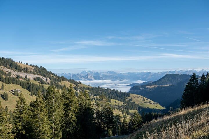 Mount Rigi Day Trip from Lucerne: Historic Trains, Summit Views & Paddle Steamer photo 4