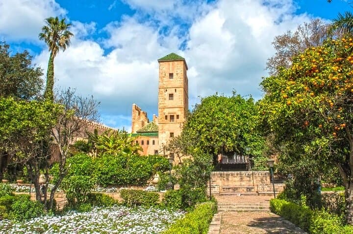 Private Half-Day Rabat Guided Tour — Hassan Tower, Oudayas & Chellah photo 3