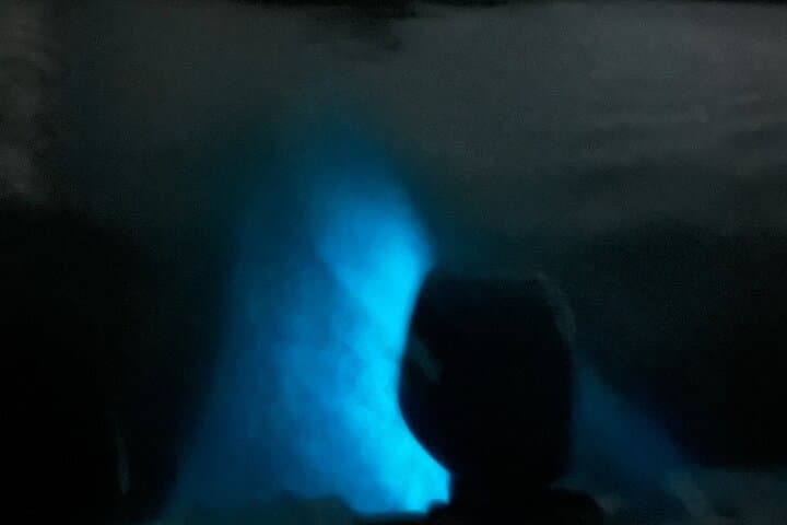 Mystic Waters: La Parguera Bioluminescent Night Tour photo 4