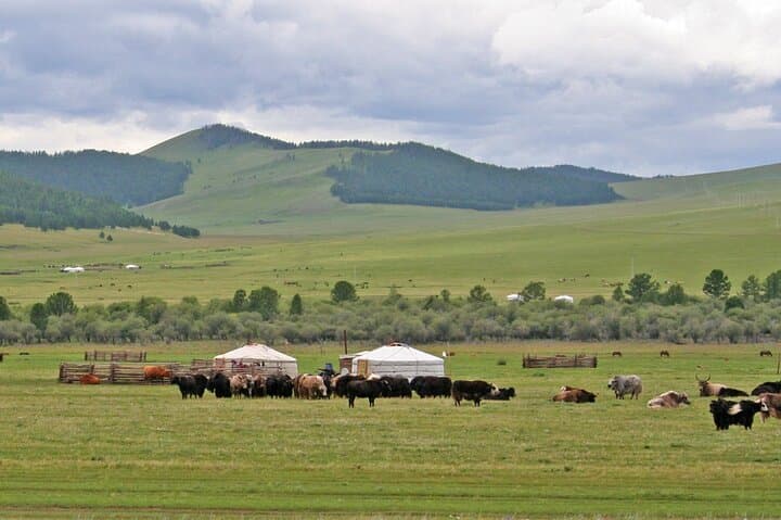Nomadic Odyssey: 18-Day Mongolia Overland Adventure from Ulaanbaatar to the Gobi