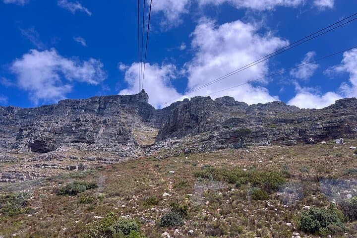Half-Day Table Mountain, Signal Hill & Bo-Kaap Tour — Cape Town Highlights photo 5