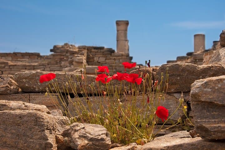 Delos Archaeological Island Day Trip from Mykonos — Small-Group Guided Tour photo 6