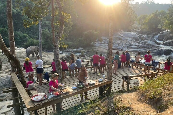 Chiang Mai Elephant Watching and Authentic Thai Cooking Class with Waterfall Visit photo 5