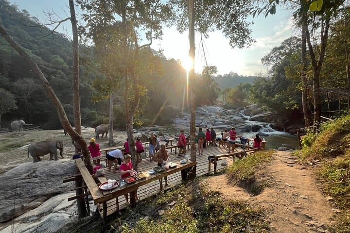 Chiang Mai Elephant Watching and Authentic Thai Cooking Class with Waterfall Visit photo 6