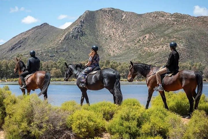 Horseback Big 5 Safari at Aquila Private Game Reserve — Cape Town Day Trip photo 1