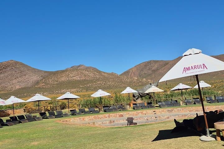 Sunset Safari at Aquila Game Reserve: Big Five Evening Game Drive from Cape Town photo 2