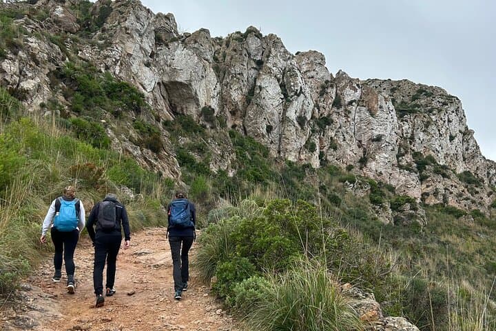 Sierra de Tramuntana Hike and Picnic on the GR221 photo 2