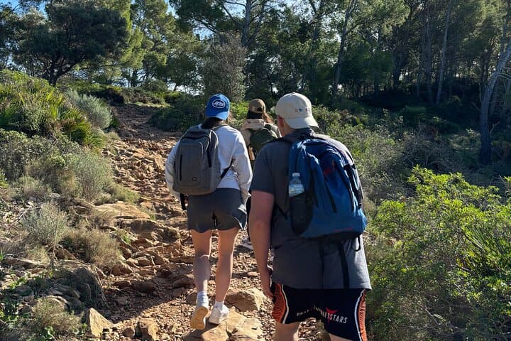 Sierra de Tramuntana Hike and Picnic on the GR221 photo 3