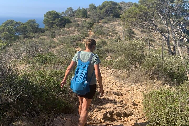 Sierra de Tramuntana Hike and Picnic on the GR221 photo 6