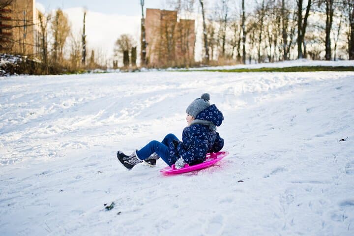 Seoul to Eobi: Strawberry Picking, Nami Lunch & Snow Sledding Day Tour photo 6