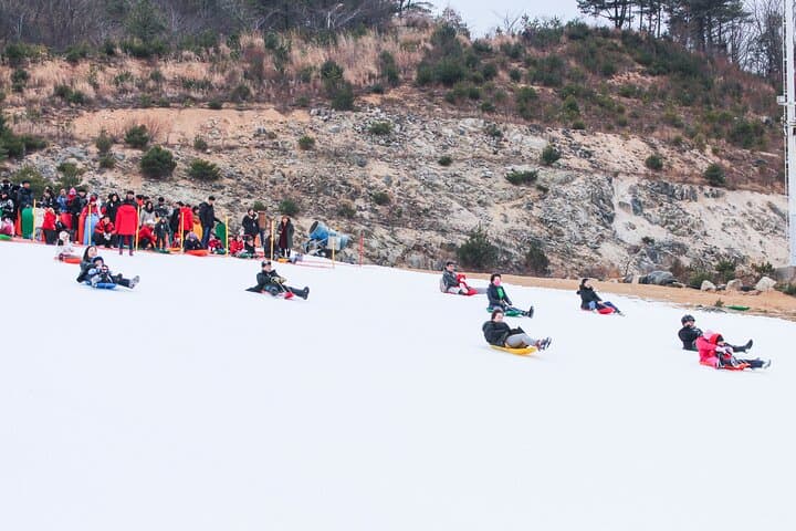 Seoul to Eobi: Strawberry Picking, Nami Lunch & Snow Sledding Day Tour photo 2