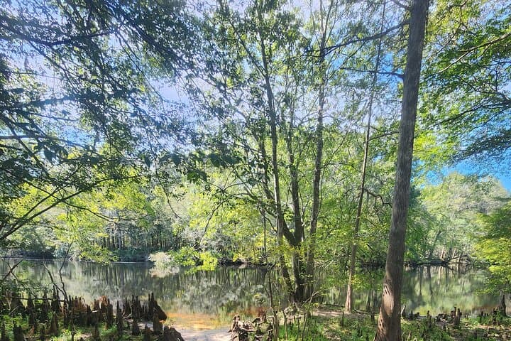 Clear Kayak at Gilchrist Blue Spring: 2-Hour Guided Glass-Bottom Tour photo 3