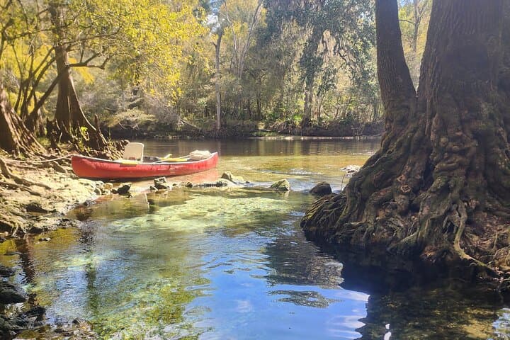 Clear Kayak at Gilchrist Blue Spring: 2-Hour Guided Glass-Bottom Tour photo 2