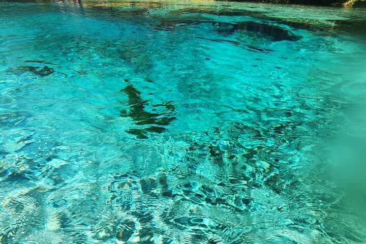 Clear Kayak at Gilchrist Blue Spring: 2-Hour Guided Glass-Bottom Tour