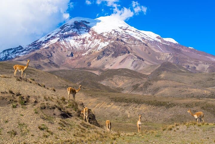 Two-Day Chimborazo Summit Climb (6,268 m) — Guided High Camp Expedition photo 2