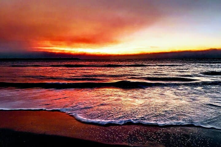 Sunset Wine & Wildlife: Romantic Boat Cruise in Marina del Rey photo 6