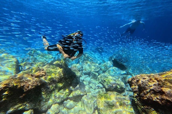 Chania Scuba Diving Refresher Dives for Certified Divers in Almyrida, Crete photo 4
