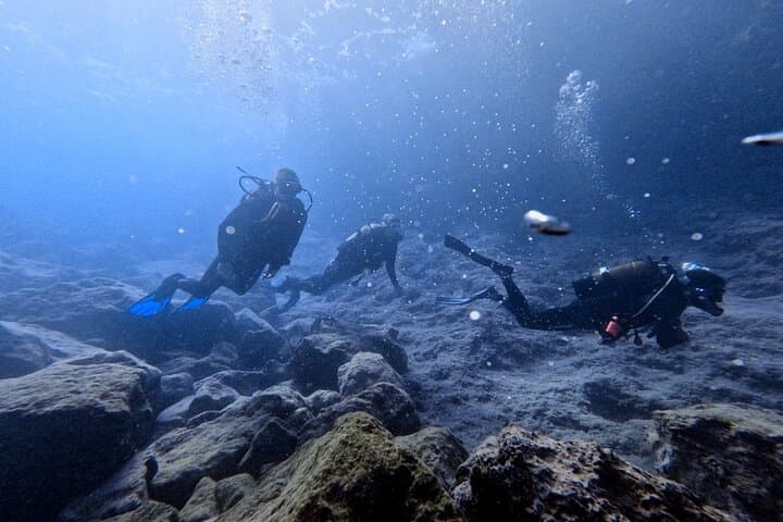 Chania Scuba Diving Refresher Dives for Certified Divers in Almyrida, Crete photo 2