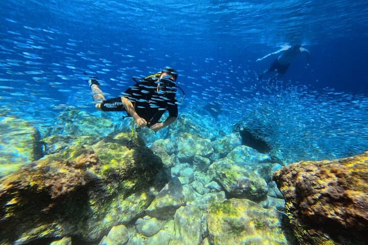 Almyrida Introduction Scuba Dive — Try Scuba in Chania with Photos & Video photo 5